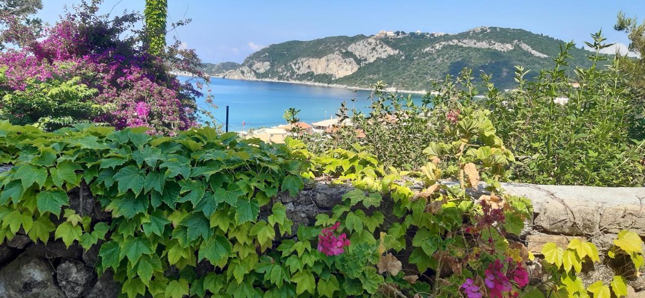 Theodora View Thalia Agios Georgios Pagon